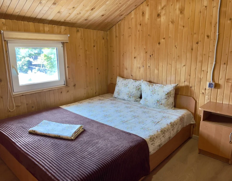 1776281061892032 Optimized